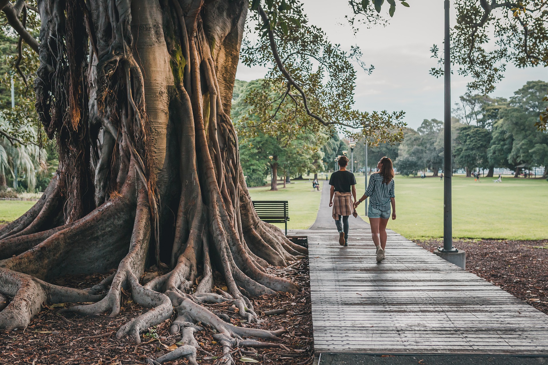 Caminar en la selva 1